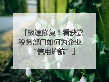 极速修复！看获嘉税务部门如何为企业“信用护航”