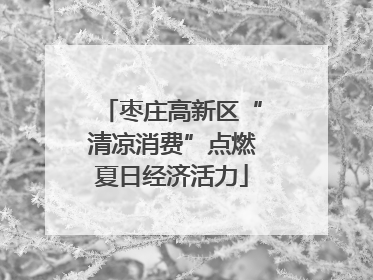 枣庄高新区“清凉消费”点燃夏日经济活力