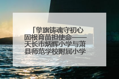 擎旗铸魂守初心 固根育苗担使命——天长市炳辉小学与萧县师范学校附属小学结对共建活动纪实