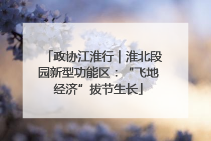 政协江淮行｜淮北段园新型功能区：“飞地经济”拔节生长