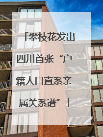 攀枝花发出四川首张“户籍人口直系亲属关系谱”