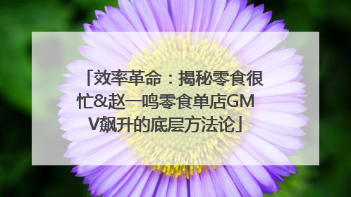 效率革命：揭秘零食很忙&赵一鸣零食单店GMV飙升的底层方法论