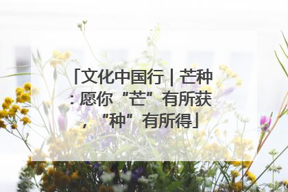 文化中国行｜芒种：愿你“芒”有所获，“种”有所得