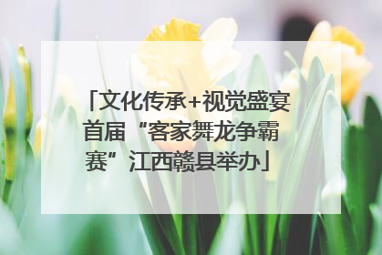 文化传承+视觉盛宴 首届“客家舞龙争霸赛”江西赣县举办