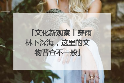 文化新观察丨穿雨林下深海，这里的文物普查不一般