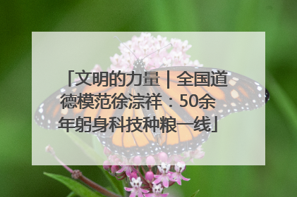 文明的力量｜全国道德模范徐淙祥：50余年躬身科技种粮一线