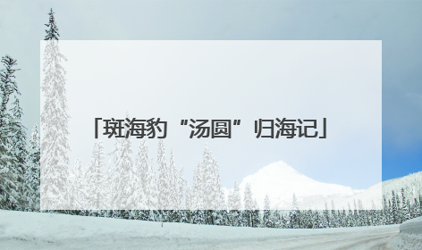 斑海豹“汤圆”归海记