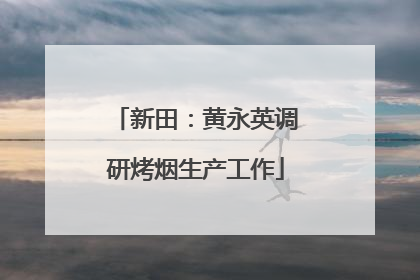 新田：黄永英调研烤烟生产工作