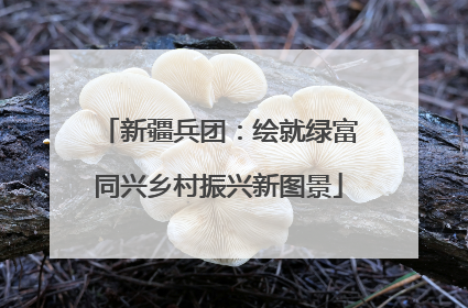 新疆兵团：绘就绿富同兴乡村振兴新图景