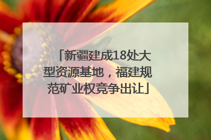 新疆建成18处大型资源基地，福建规范矿业权竞争出让
