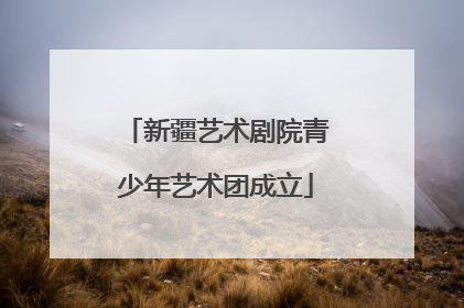 新疆艺术剧院青少年艺术团成立