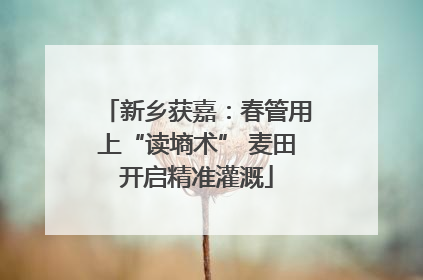 新乡获嘉：春管用上“读墒术” 麦田开启精准灌溉