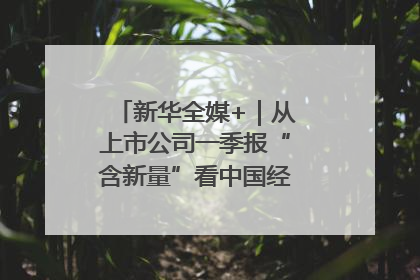 新华全媒+｜从上市公司一季报“含新量”看中国经济发展向“新”