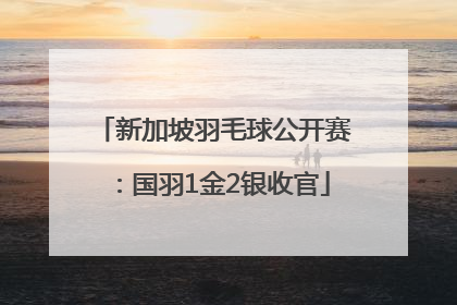 新加坡羽毛球公开赛：国羽1金2银收官