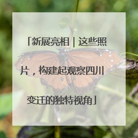 新展亮相｜这些照片，构建起观察四川变迁的独特视角