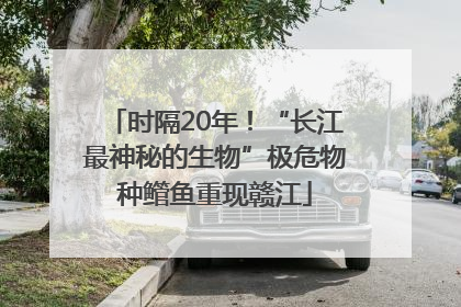 时隔20年！“长江最神秘的生物”极危物种鳤鱼重现赣江