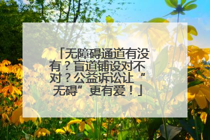 无障碍通道有没有？盲道铺设对不对？公益诉讼让“无碍”更有爱！