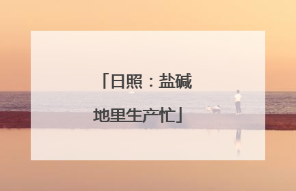 日照：盐碱地里生产忙