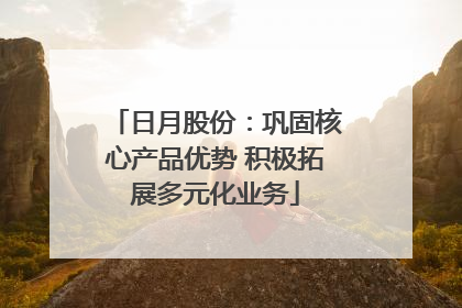 日月股份：巩固核心产品优势 积极拓展多元化业务