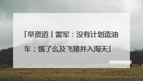 早资道丨雷军：没有计划造油车；饿了么及飞猪并入淘天