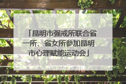 昆明市强戒所联合省一所、省女所参加昆明市心理赋能运动会