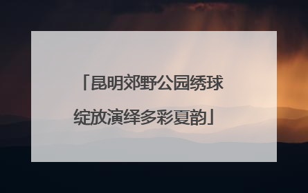 昆明郊野公园绣球绽放演绎多彩夏韵