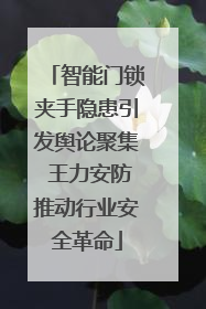 智能门锁夹手隐患引发舆论聚集 王力安防推动行业安全革命