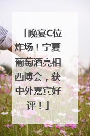晚宴C位炸场！宁夏葡萄酒亮相西博会，获中外嘉宾好评！