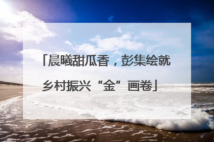晨曦甜瓜香，彭集绘就乡村振兴“金”画卷