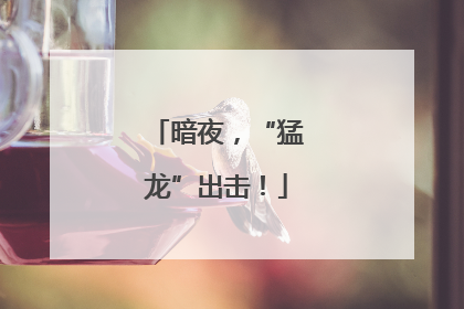 暗夜，“猛龙”出击！
