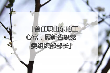 曾任职山东的王心富，履新省级党委组织部部长