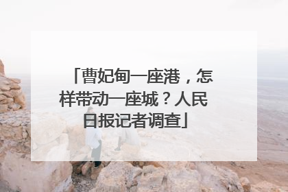 曹妃甸一座港，怎样带动一座城？人民日报记者调查