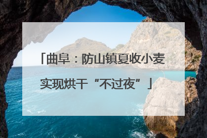 曲阜：防山镇夏收小麦实现烘干“不过夜”