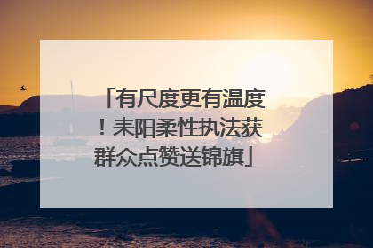 有尺度更有温度！耒阳柔性执法获群众点赞送锦旗