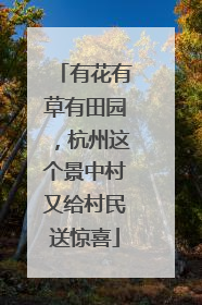 有花有草有田园，杭州这个景中村又给村民送惊喜