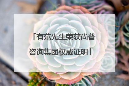 有范先生荣获尚普咨询集团权威证明