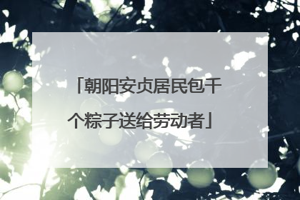 朝阳安贞居民包千个粽子送给劳动者