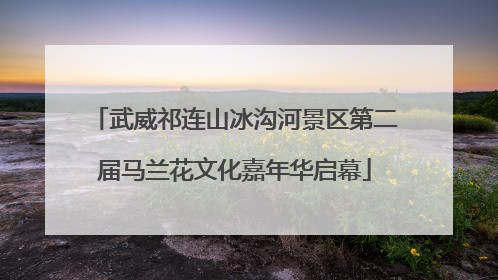 武威祁连山冰沟河景区第二届马兰花文化嘉年华启幕