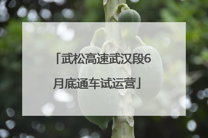 武松高速武汉段6月底通车试运营