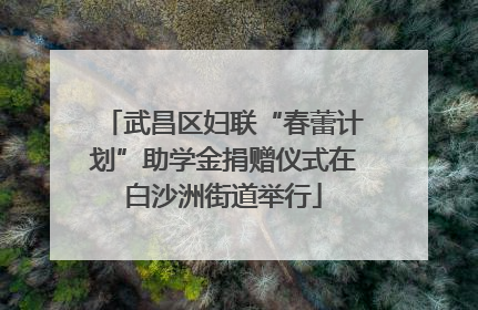 武昌区妇联“春蕾计划”助学金捐赠仪式在白沙洲街道举行