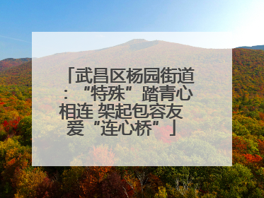 武昌区杨园街道：“特殊”踏青心相连 架起包容友爱“连心桥”