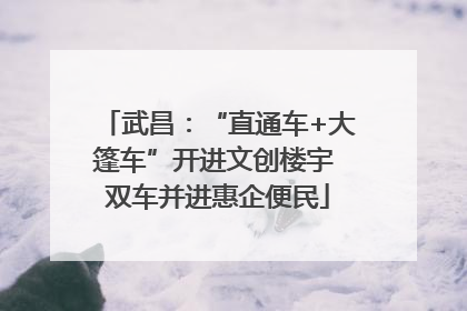 武昌：“直通车+大篷车”开进文创楼宇 双车并进惠企便民