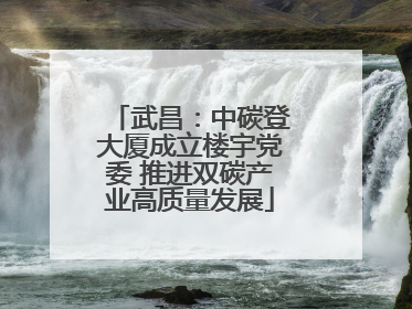 武昌：中碳登大厦成立楼宇党委 推进双碳产业高质量发展