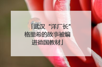 武汉“洋厂长”格里希的故事被编进德国教材
