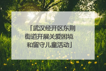 武汉经开区东荆街道开展关爱困境和留守儿童活动