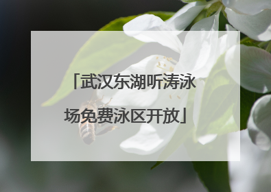 武汉东湖听涛泳场免费泳区开放