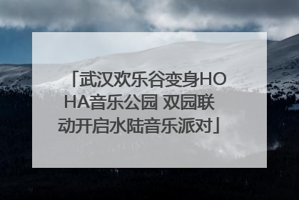 武汉欢乐谷变身HOHA音乐公园 双园联动开启水陆音乐派对