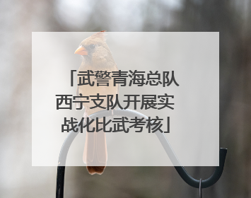 武警青海总队西宁支队开展实战化比武考核