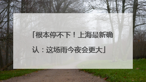 根本停不下！上海最新确认：这场雨今夜会更大
