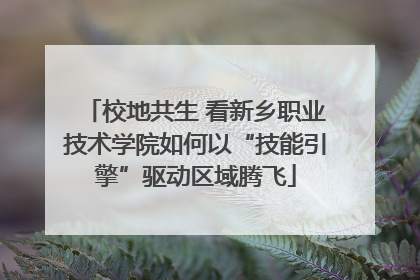 校地共生 看新乡职业技术学院如何以“技能引擎”驱动区域腾飞